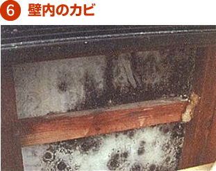 6.壁内のカビ